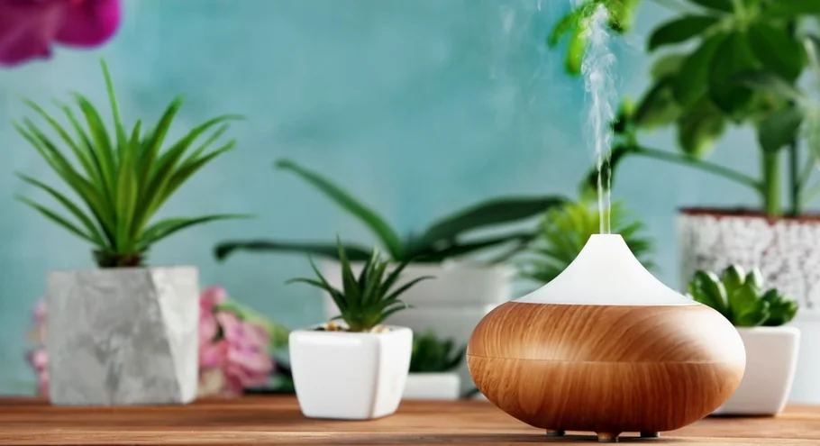 Бытовые увлажнители