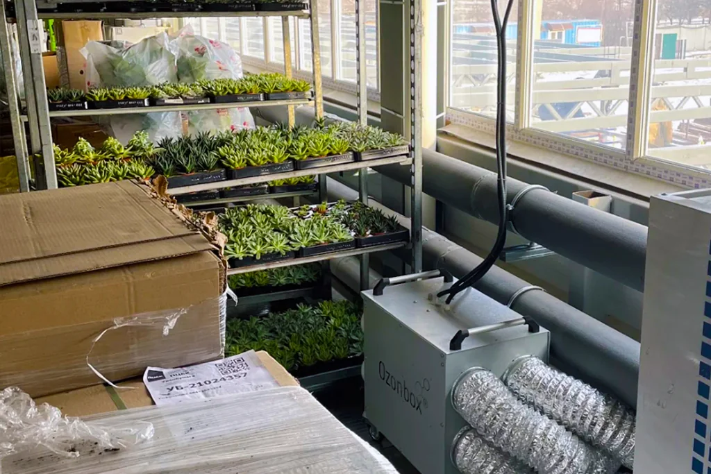 Овощехранилища