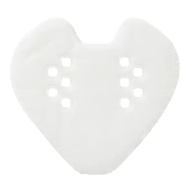 PFPAZC30 (для AP300AWFA)