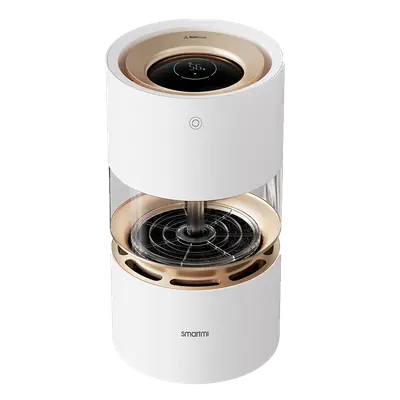 Rainforest Humidifier