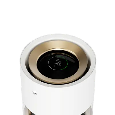 Rainforest Humidifier